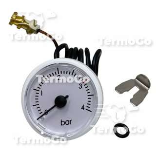 Manometro caldaia Ecoflam Ecoblu, Ecosi 65104234