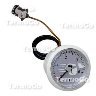 Idrometro Manometro caldaia Riello Family Externa, Family Externa Condens 4366239