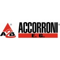 Logo Accorroni