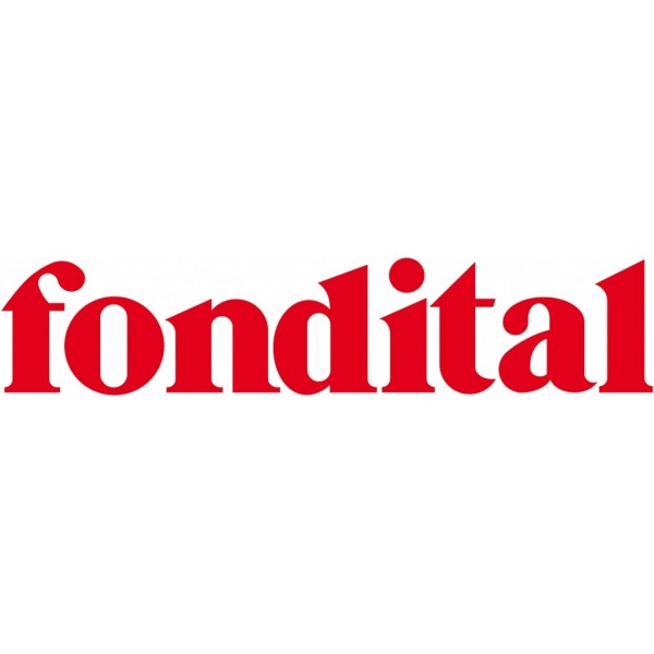 ricambi caldaie Fondital caldaie logo